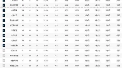 北京队荣获首届中国男子冰球职业联赛冠军宝座。